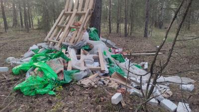 Рязанские экоактивисты предложили метод борьбы с несанкционированными свалками