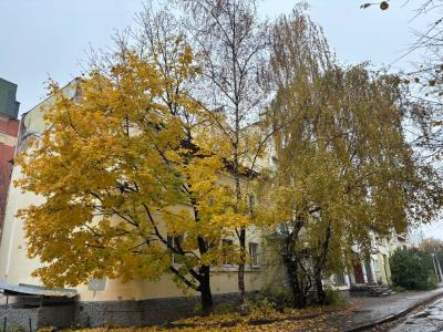 В рязанском регионе ожидается небольшой дождь