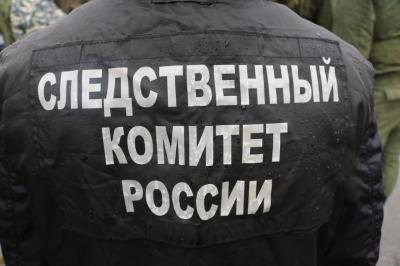 Следком рассказал подробности гибели подростка на карьере в Борках