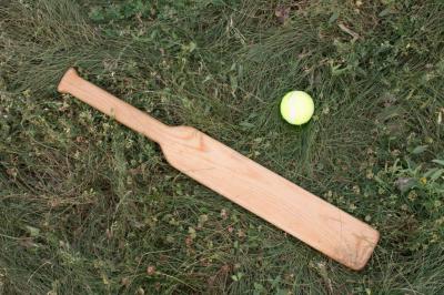 Прекратила существование Рязанская областная Федерация русской лапты