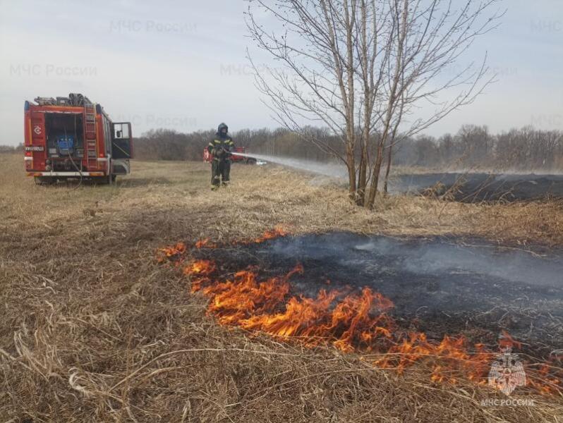 Рязанцам напомнили об опасности пала сухой травы