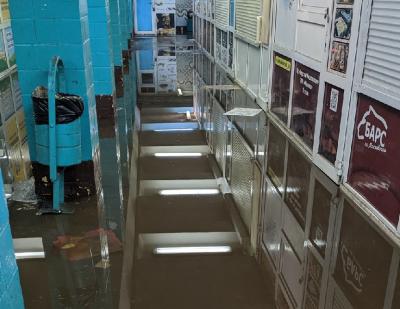 Фото: пользователь соцсети «ВКонтакте» Серёжа Калинин