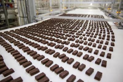 В Рязанской области будут расширять шоколадное производство