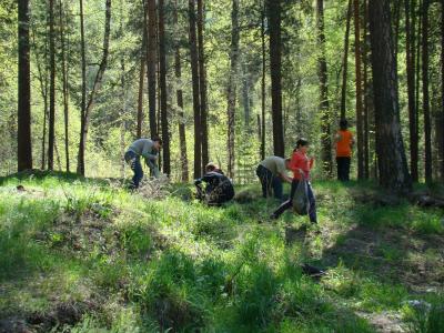 На Рязанщине прошёл Второй слёт школьных лесничеств