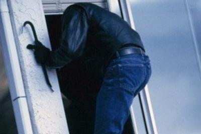 Рыбновские полицейские поймали дачного вора