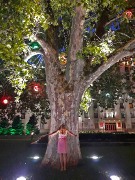 20170724_203746.jpg title=