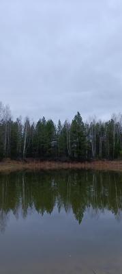 В районе деревни Полково посадили новый лес 