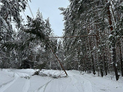 Специалисты «Рязаньэнерго» восстановили более 150 километров линий электропередачи