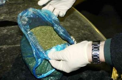 Скопинские оперативники изъяли более полукилограмма марихуаны