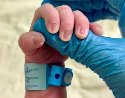 Перинатальный центр поинтересовался у рязанцев, в какой день недели они появились на свет