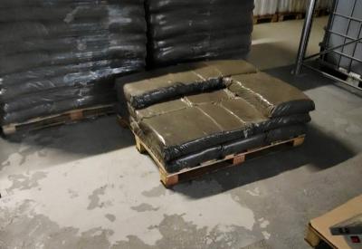 Рязанский торфогрунт пользуется спросом за рубежом