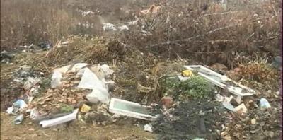 В Дягилево экономят на чистоте улиц