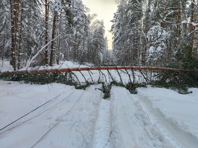 Энергетики «Рязаньэнерго» оперативно восстанавливают электроснабжение потребителей региона после новой волны непогоды