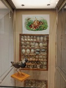 1000053324.jpg title=