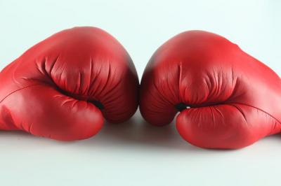 Рязань примет участников Всероссийского турнира по боксу