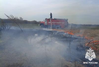 В рязанском регионе тушат 19 ландшафтных пожаров