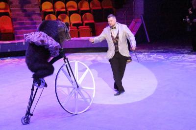 Рязанским журналистам показали медведей на велосипедах