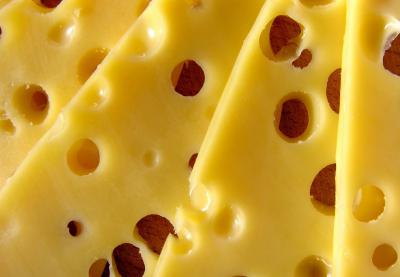 В Рязани уничтожили почти пуд санкционного сыра