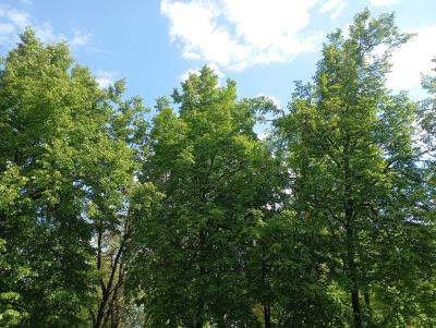 В рязанском регионе воздух прогреется до 28 градусов