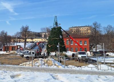 Ёлку на Лыбедском бульваре в Рязани начали разбирать