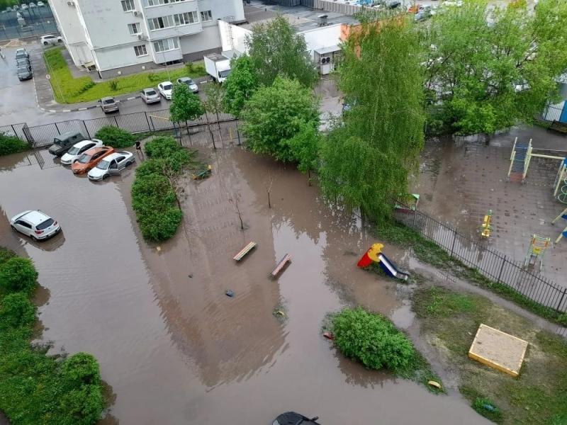 Фото: пользователь соцсети «ВКонтакте» Ирина Рубцова