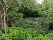 IMG_20200604_173300.jpg title=